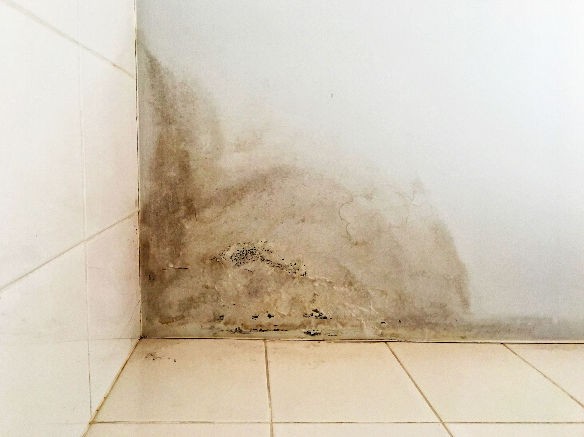 A corner of a bathroom with mould on the wall and tile floor.