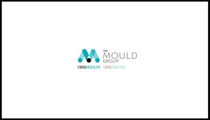 The mould group logo is on a white background.