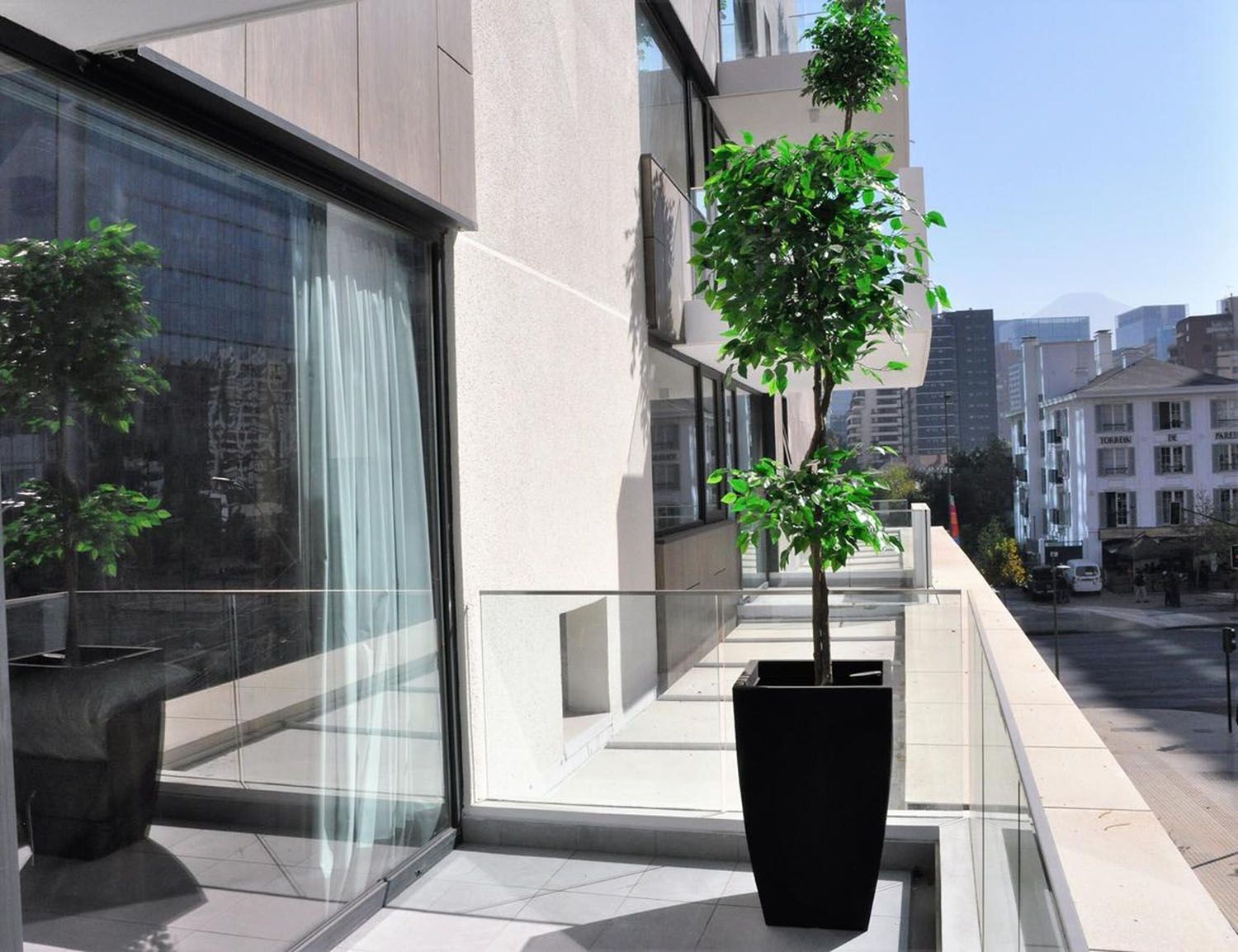 Un balcón con un árbol en una maceta.