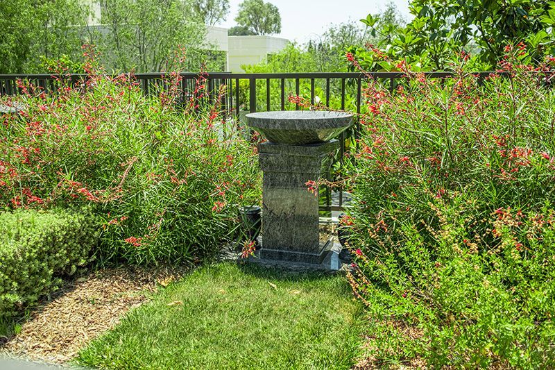 Companion Pedestals Cemetery Options at Hillside Memorial Park