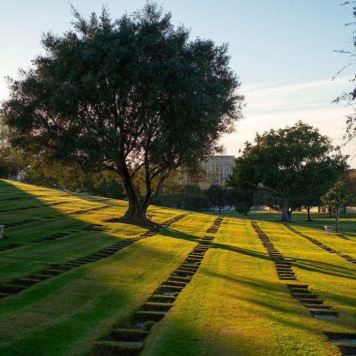 Cemetery Grounds at Hillside Memorial Park and Mortuary CA