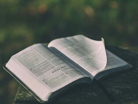 An open bible is sitting on top of a rock.