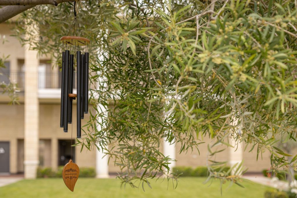 A wind chime is hanging from a tree in front of a building.