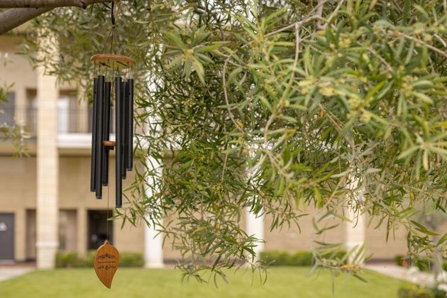 A wind chime is hanging from a tree in front of a building.