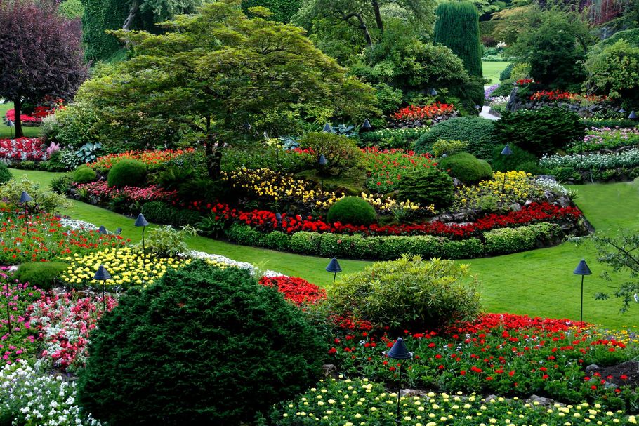 Colorful landscaped garden with winding paths, red flower beds, and lush green shrubs
