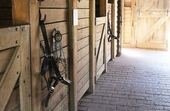 horse barn 