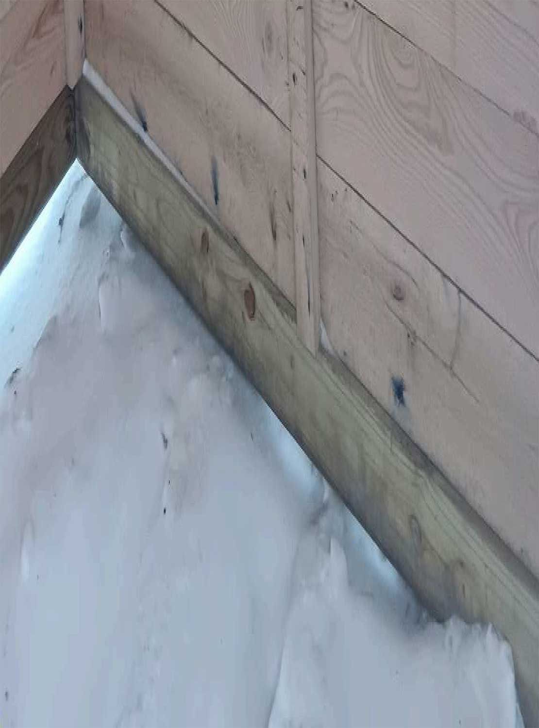 Horse- Stall interior 