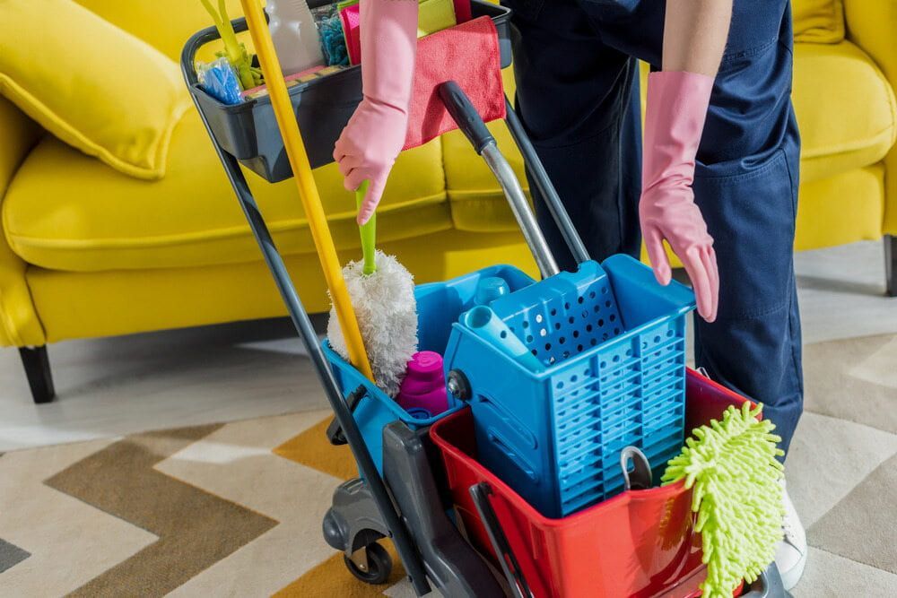 A Person Is Cleaning A Living Room With A Mop And Bucket — Aafco Hygiene In Wodonga, VIC