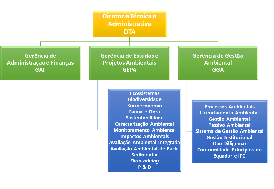 Organograma