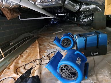 Two blue fans are sitting on the floor of a room.