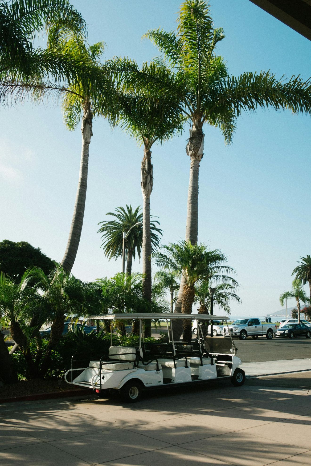 White golf cart parked on a paved area with palm trees in the background under a clear blue sky.