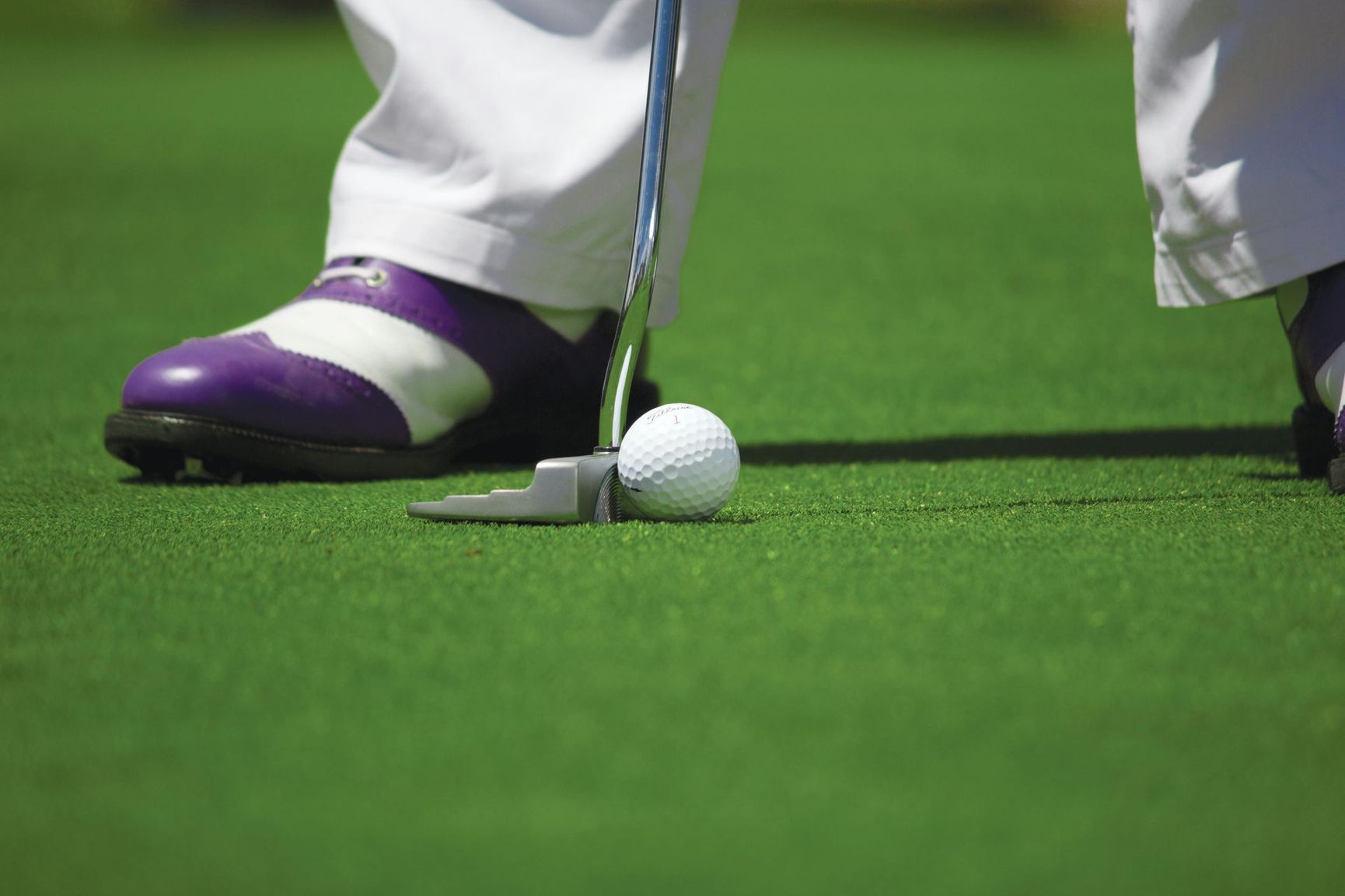 Golfer putting on a green. White pants, purple and white golf shoes, a ball near the putter, and a green field are in focus.