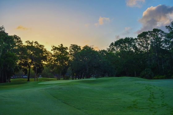 Golf course at dawn: green fairway and trees under a colorful sunrise sky.