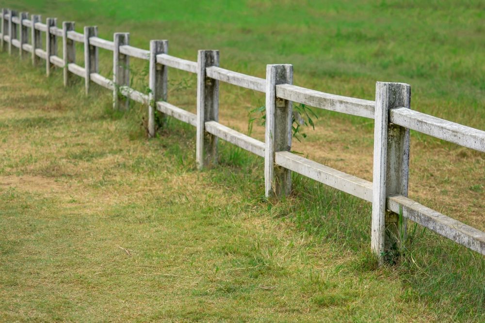 A weathered wooden post-and-rail fence runs across a field of green and yellowing grass.