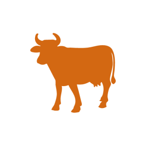 Une silhouette d'une vache avec des cornes debout sur un fond blanc.