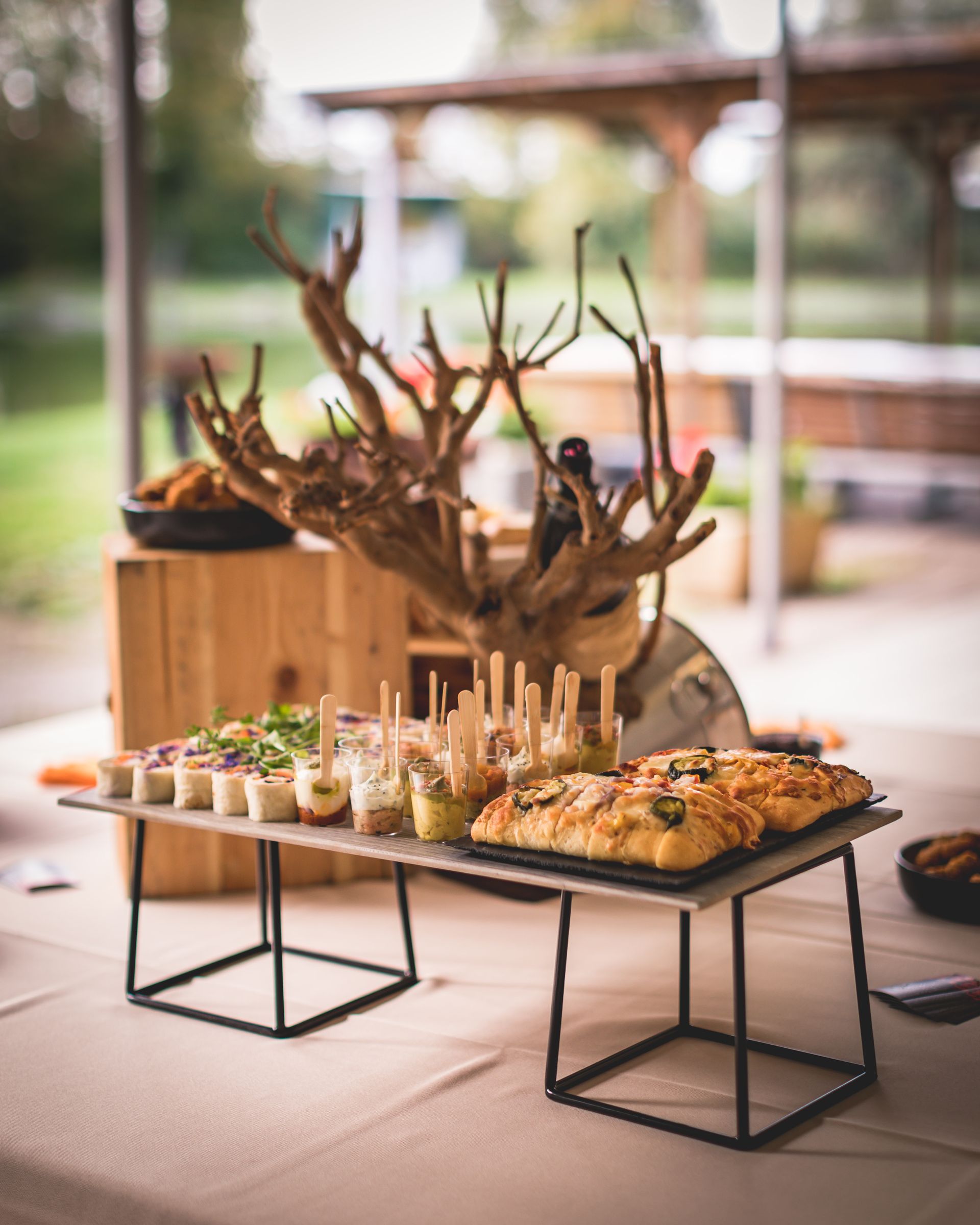 Une table avec un tas de nourriture dessus et un arbre en arrière-plan.