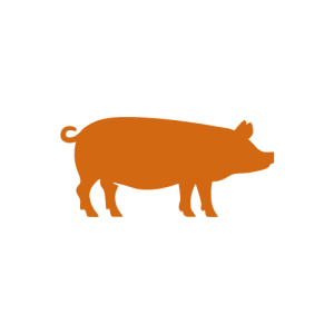 Une silhouette de cochon sur fond blanc.