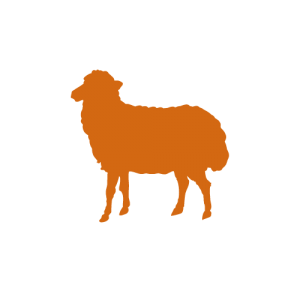 Une silhouette d'un mouton debout sur un fond blanc.