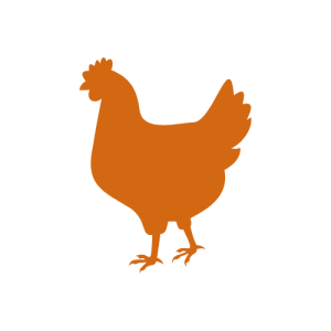 Une silhouette de poulet sur fond blanc
