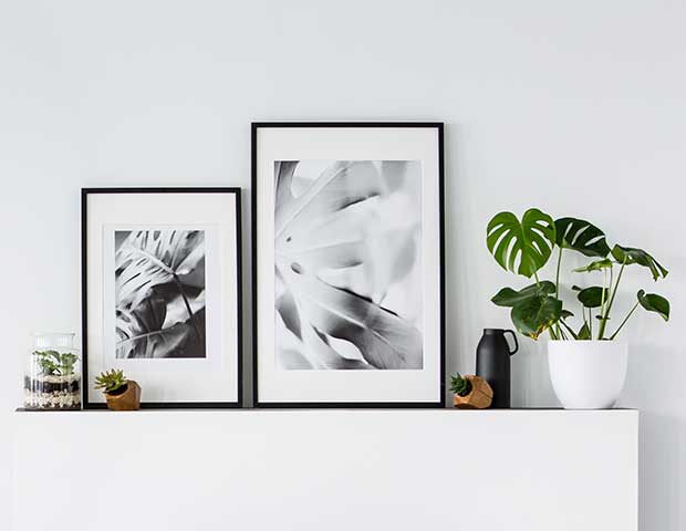 Order Fine Art Prints
