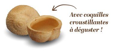 croquille croustillante à déguster l'atelier de l'escargot français