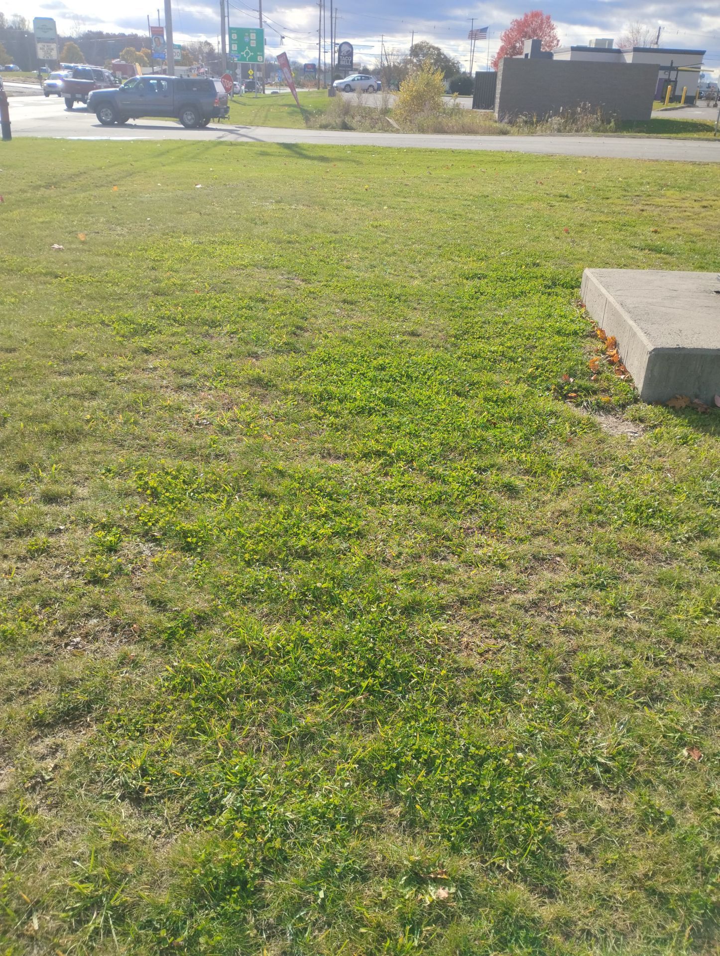 Grassy area next to a road, with a concrete structure on the right. Cars drive in the background.