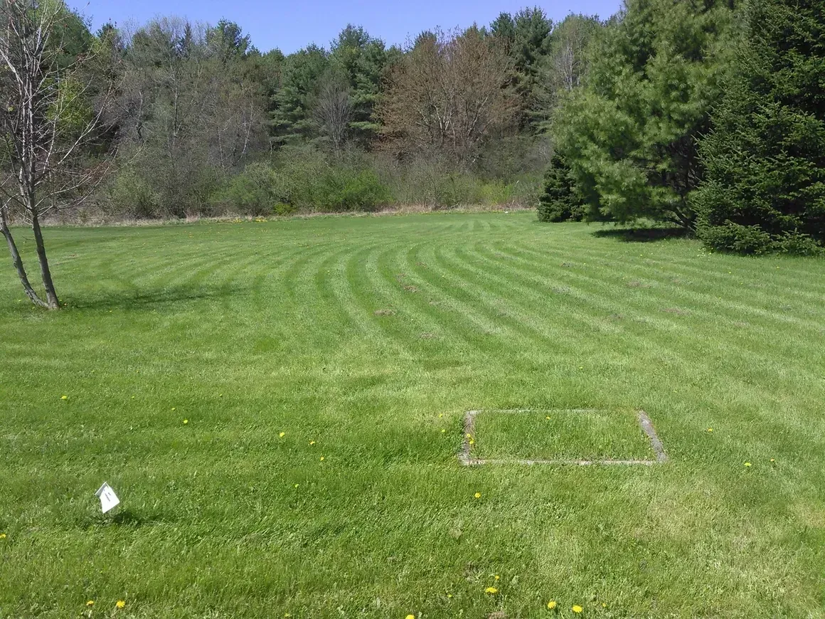 Lawn with curved mowing pattern, trees in the background, a square access panel, and a small flag.