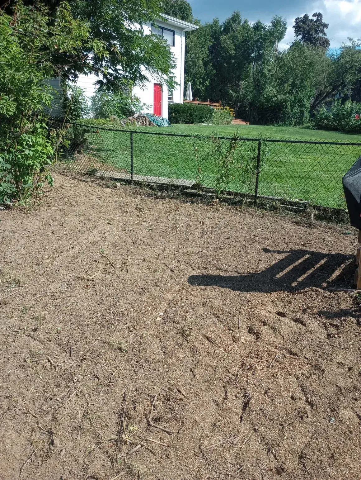 Yard covered in mulch, with a house, green grass, and chain-link fence in the background.