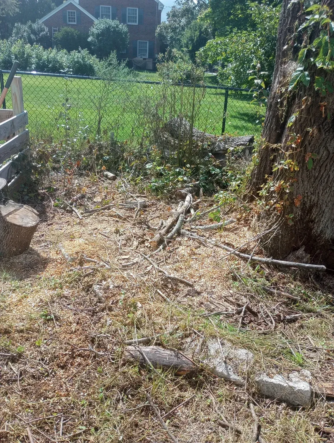 Debris-covered ground next to a tree trunk and fence, with a house and green yard in the background.
