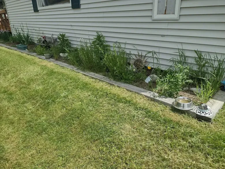 A grassy lawn borders a raised flowerbed next to a house with gray siding.
