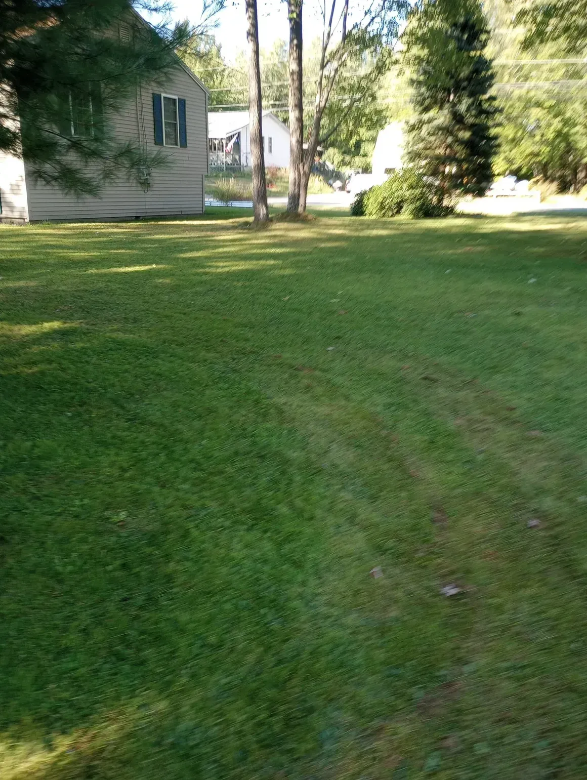 Green lawn with a house in the background and a couple of trees.