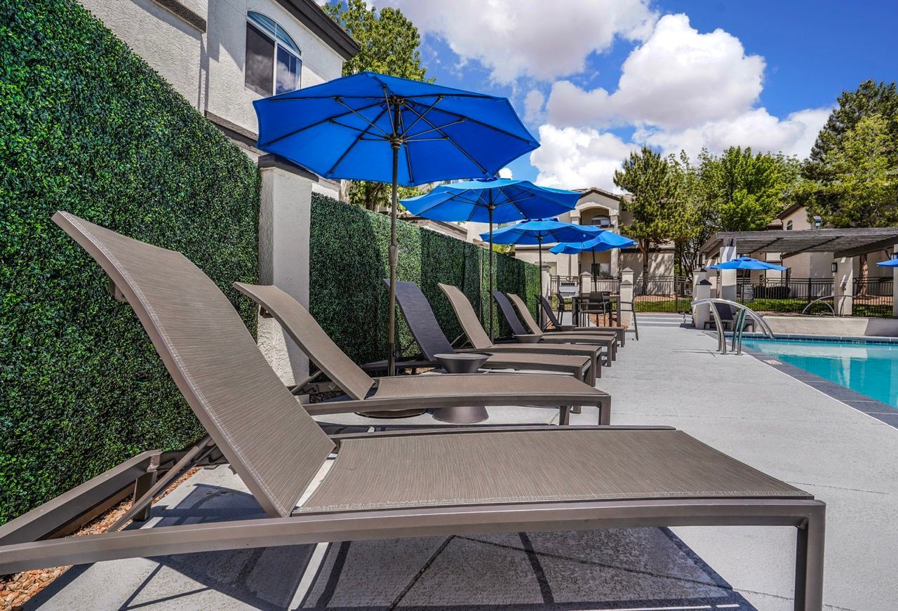 Outdoor pool area with brown lounge chairs, blue umbrellas, and a hedge along the wall at Broadstone Heights in Albuquerque, NM.