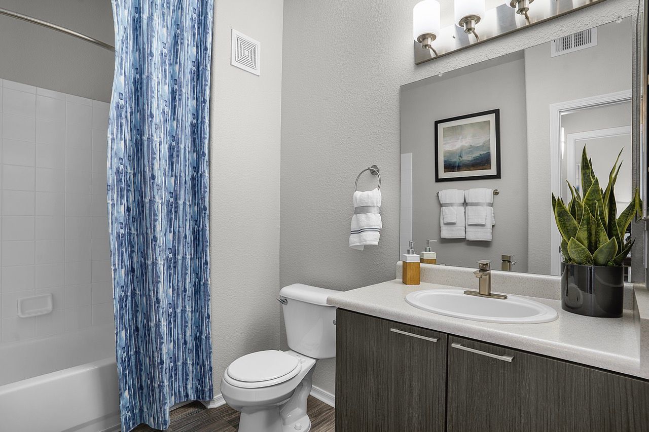 Bathroom with vanity, sink, mirror, toilet, and a blue patterned shower curtain at Broadstone Heights in Albuquerque, NM.