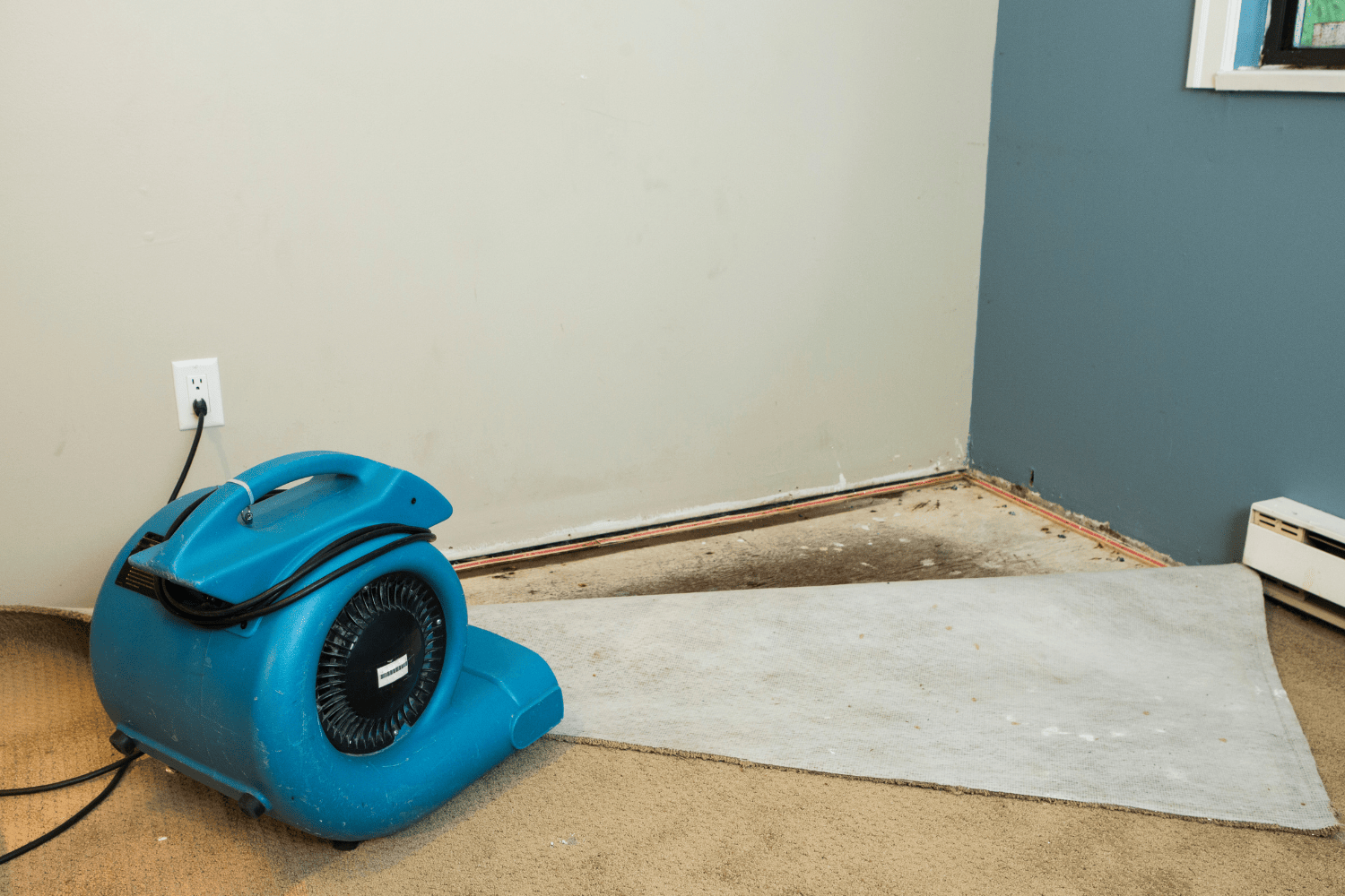 Why It’s Essential to Call a Flood Damage Cleanup Company After a Flood
