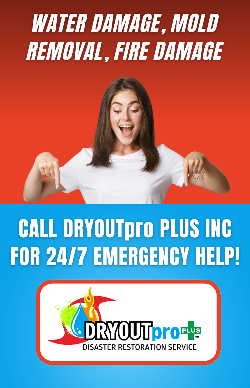 Call DRYOUTpro PLUS INC for 24/7 emergency help