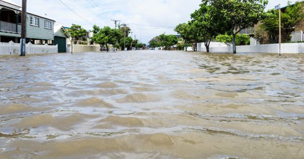 Understanding Category 3 Water Damage: Risks and Remediation Strategies