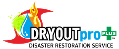 DRYOUTpro PLUS Disaster Restoration Services Emergency Water Damage Services Mold Remediation Fire Damage Restoration Stuart FL Palmcity FL Jensen Beach Fl Hobe Sound FL Jupiter FL Port St Lucie FL