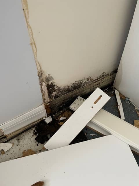 water damage cleanup stuart florida