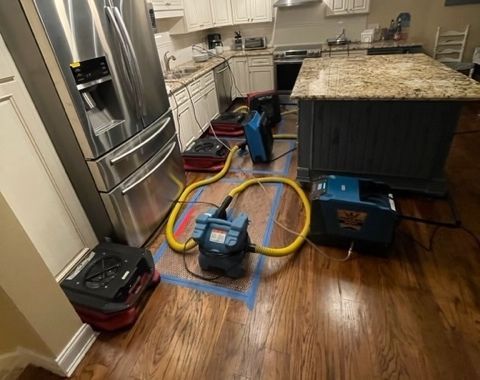 Why Does Water Damage Lead to Mold Growth