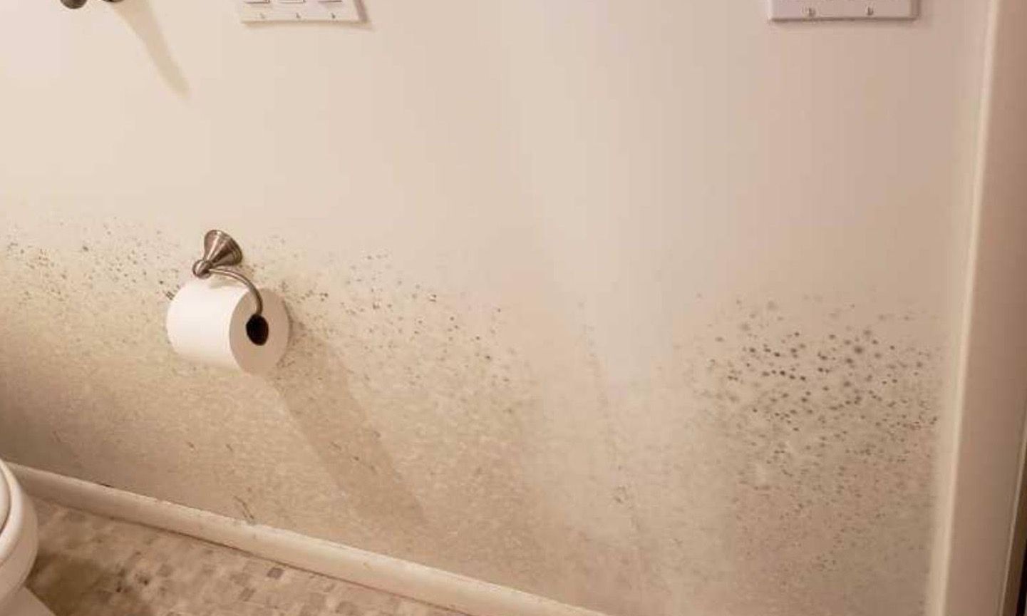 Mold Removal In Martin County Home