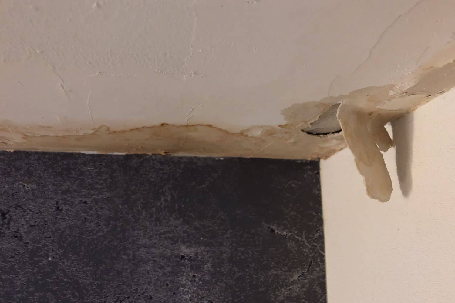 Here Are 4 Ways To Spot Water Damage