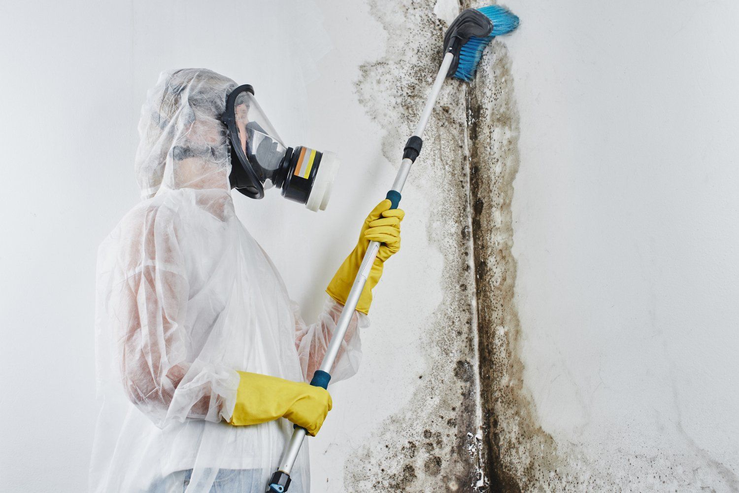 10 Common Causes Of Mold In Homes