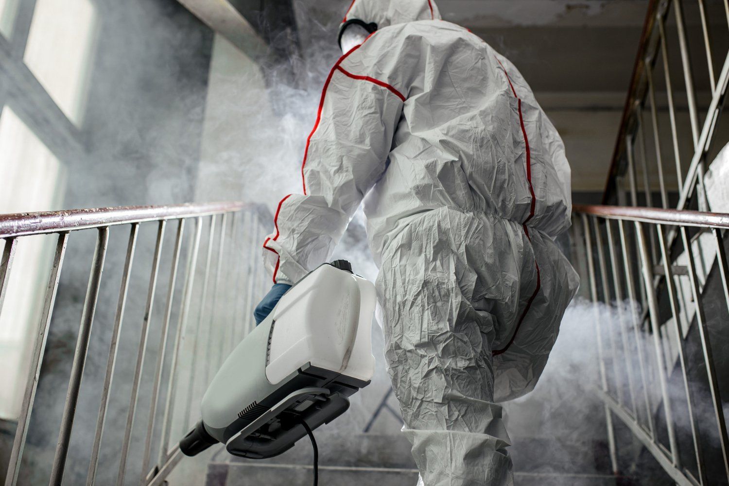 Mold Remediation Process: How Does it Work?