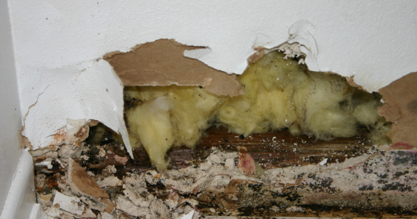 untreated water damage