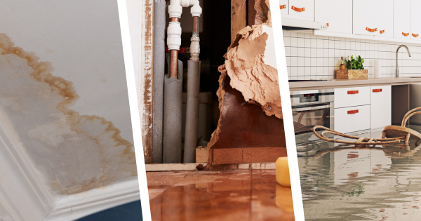 Exploring Categories 1, 2, and 3 Of Water Damage: Comprehensive Guide