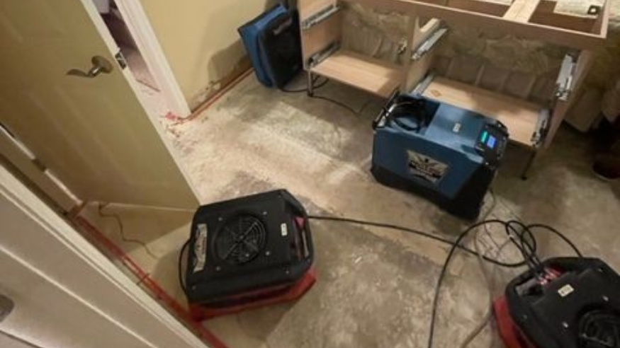 What Happens if I Ignore Water Damage?