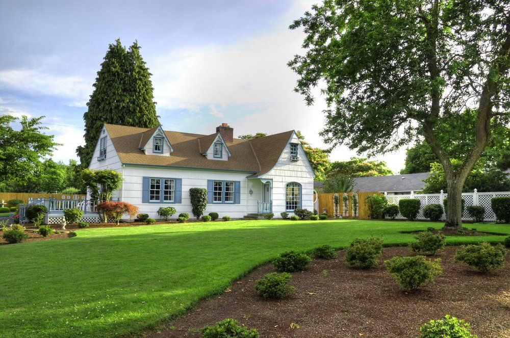 House with large yard shaded by tree