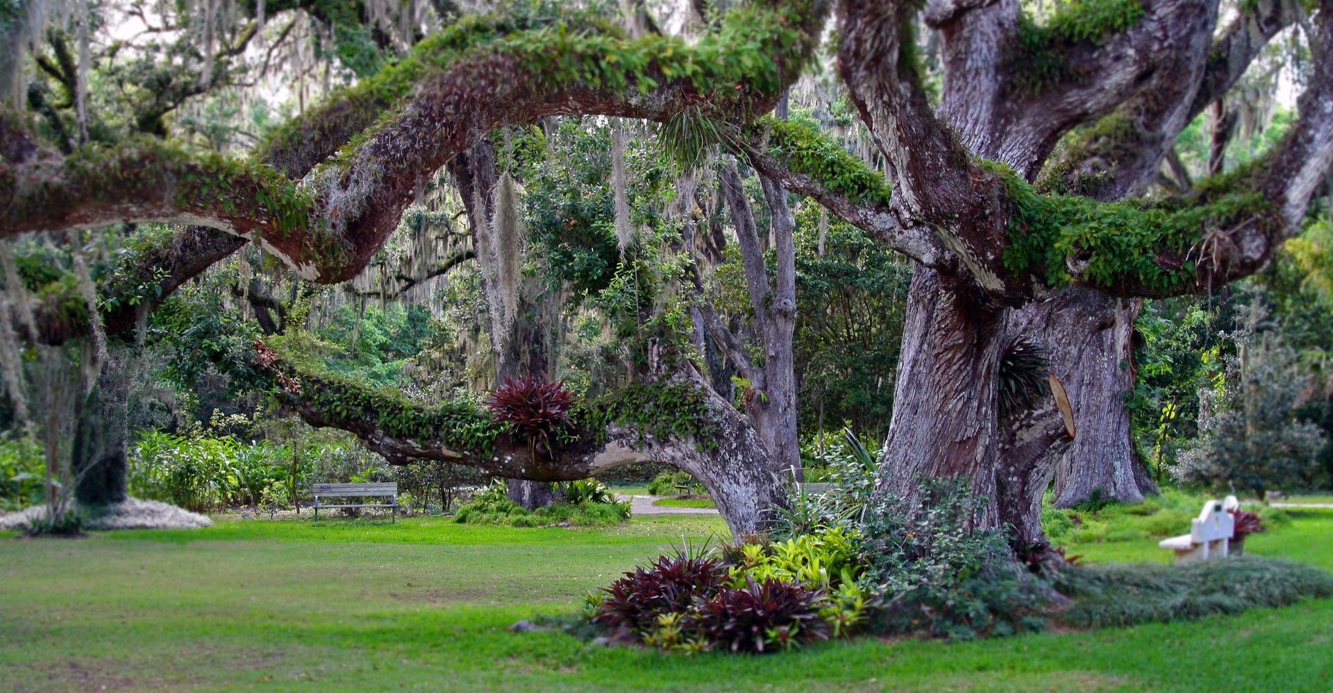 House hunting in LaBelle FL