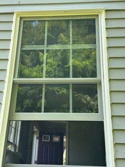 Vertical window with grid panes, open at the bottom. The interior shows a door, the exterior reflects green trees.