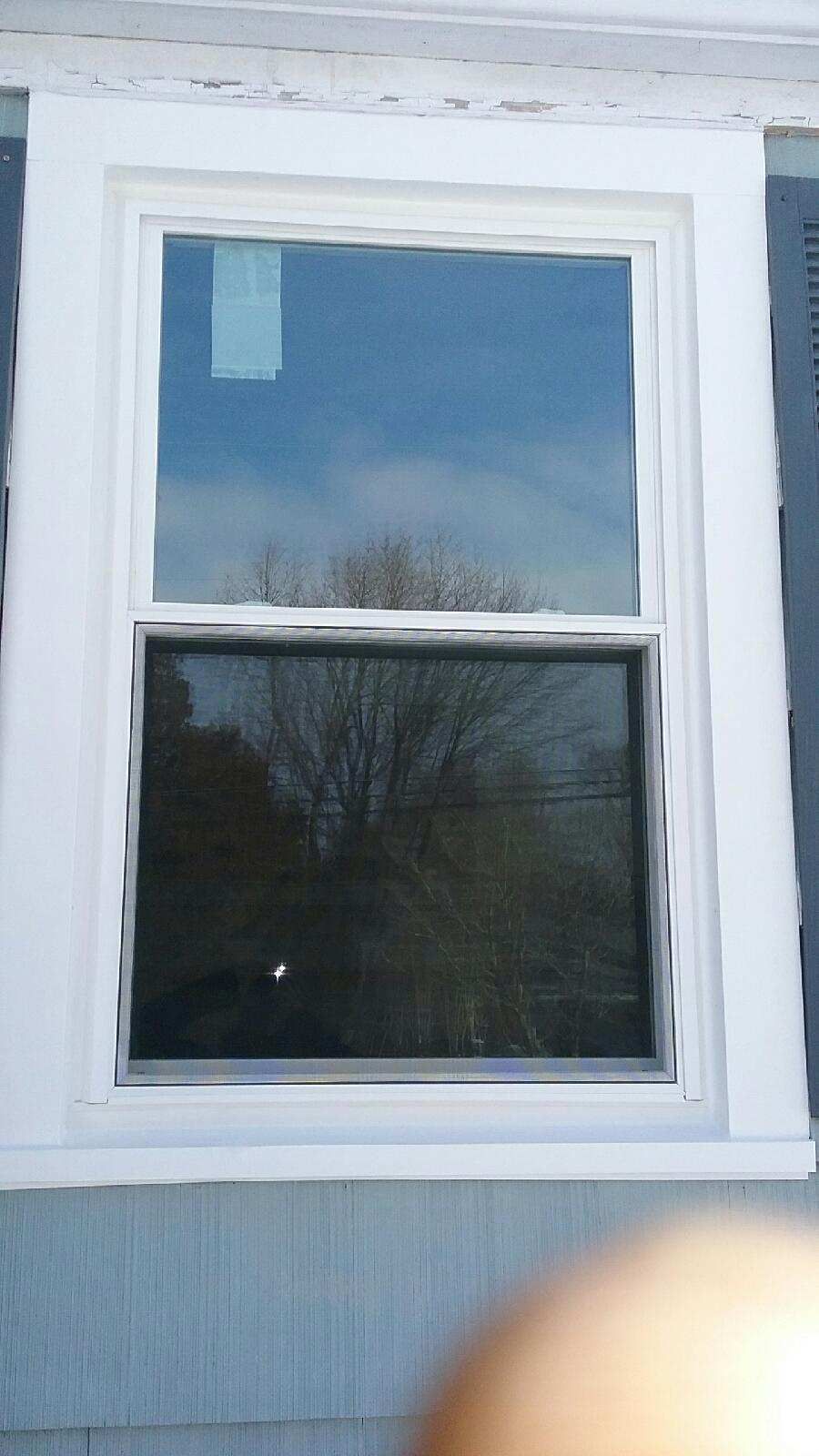 White-framed double-hung window on a house with blue siding. Tree and sky reflected in the glass.